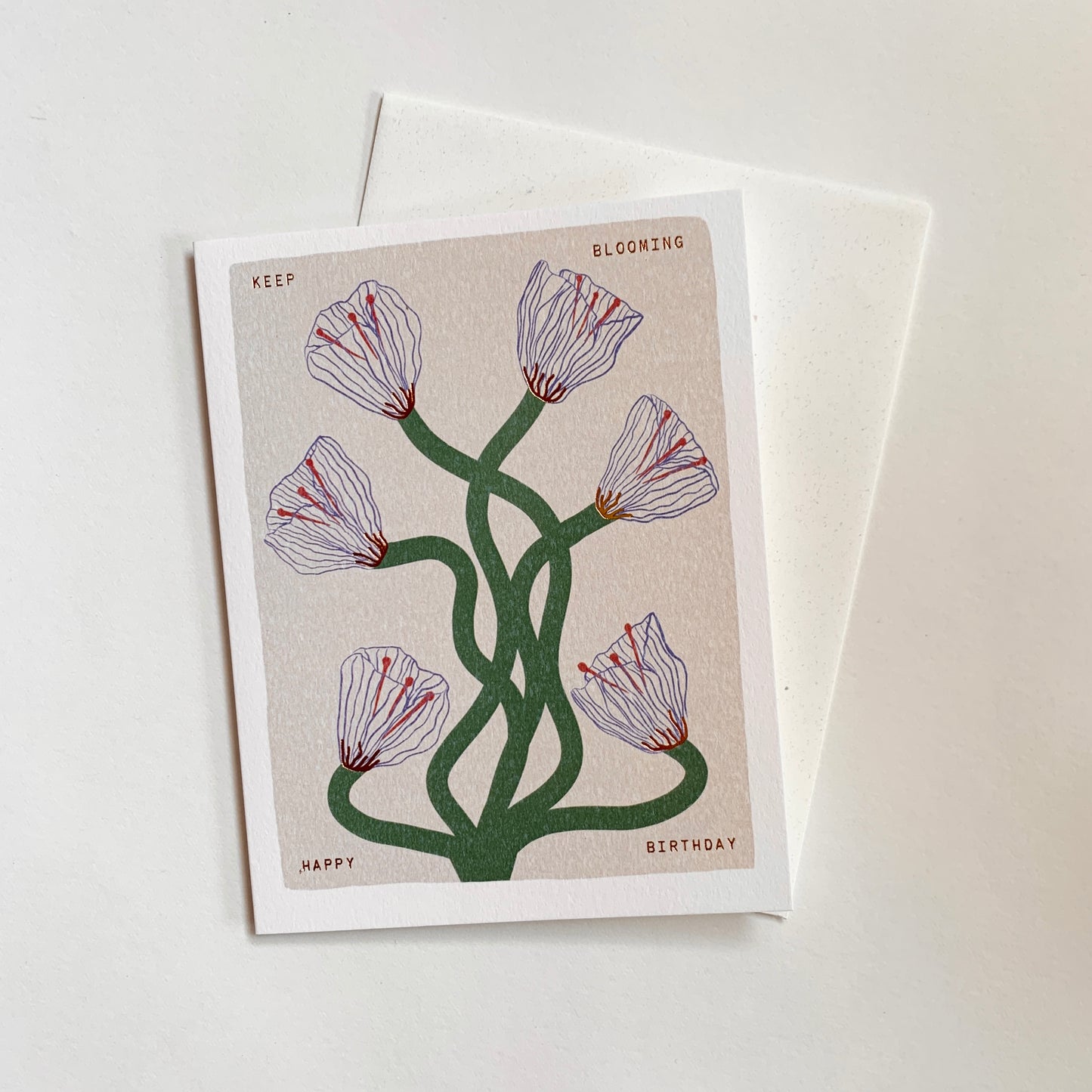 Someday Studio Greeting Cards