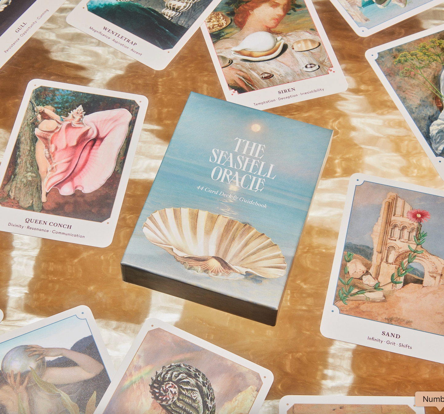 The Seashell Oracle Deck