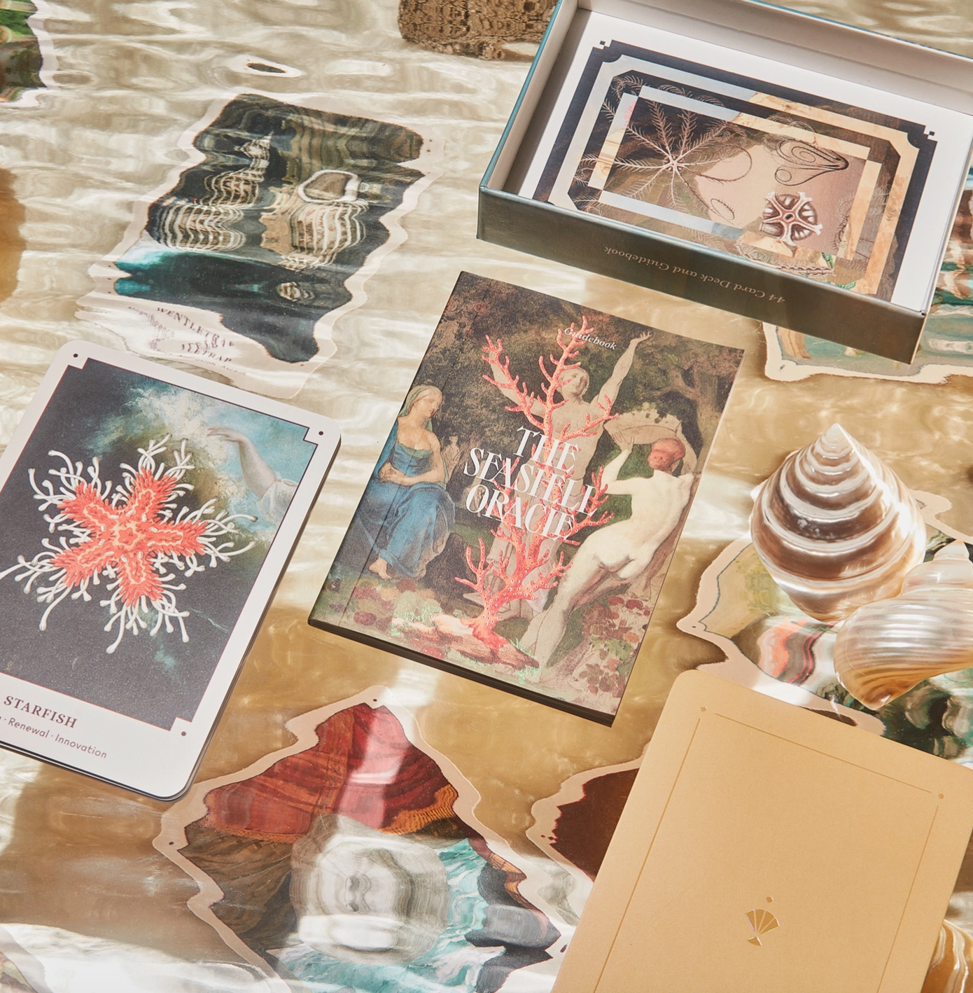 The Seashell Oracle Deck