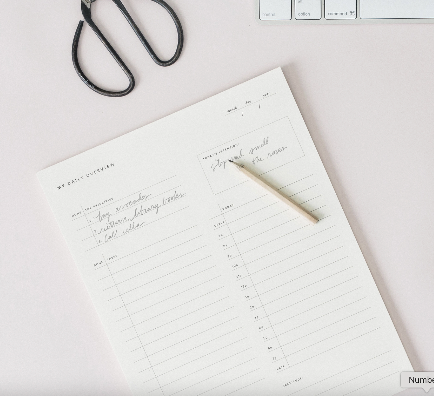 Daily Overview Notepad