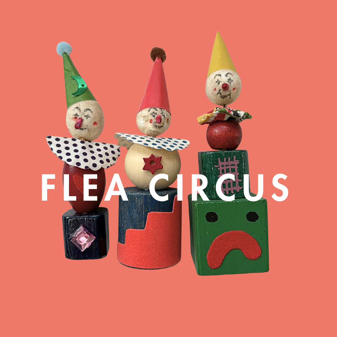 AMY ROWAN'S FLEA CIRCUS