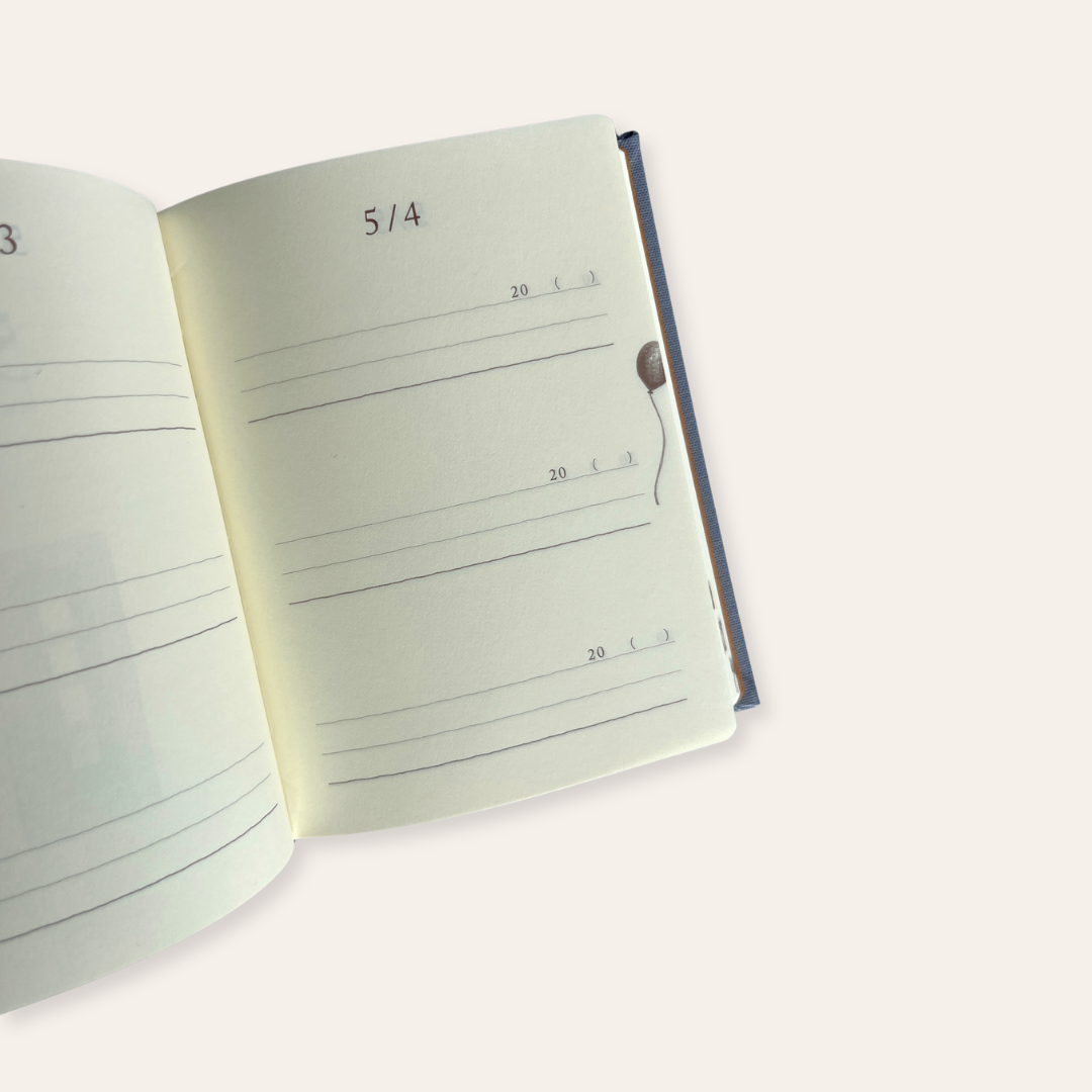 3 Year Diaries