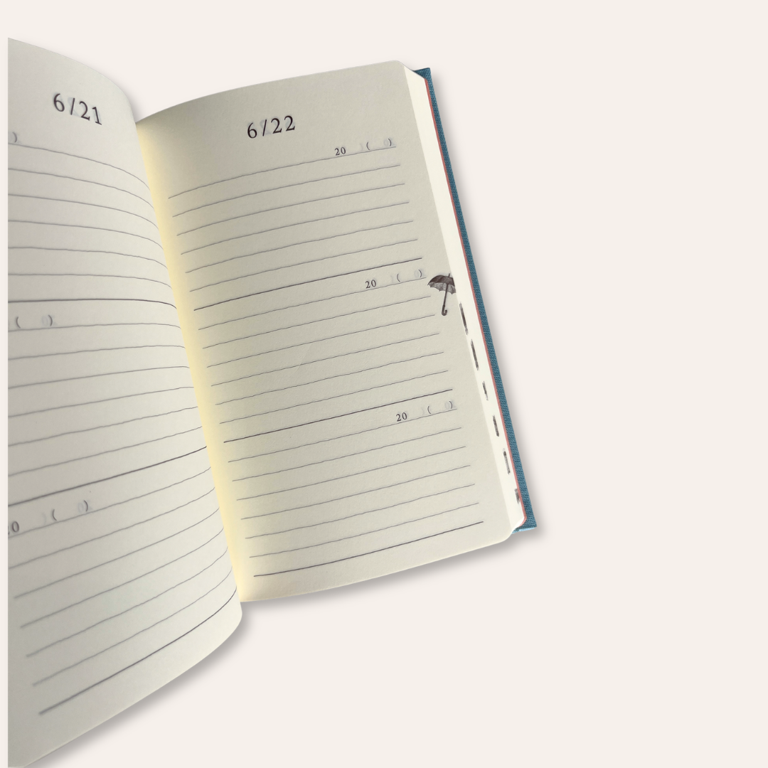 3 Year Diaries
