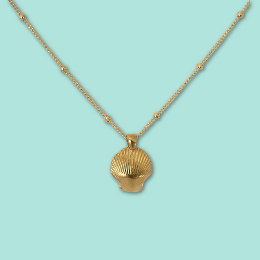 Seashell Necklace